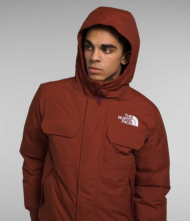 Veste Bomber The North Face McMurdo Homme Marron | FRANCE HVLJO