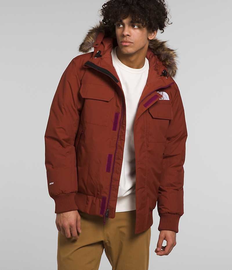 Veste Bomber The North Face McMurdo Homme Marron | FRANCE HVLJO