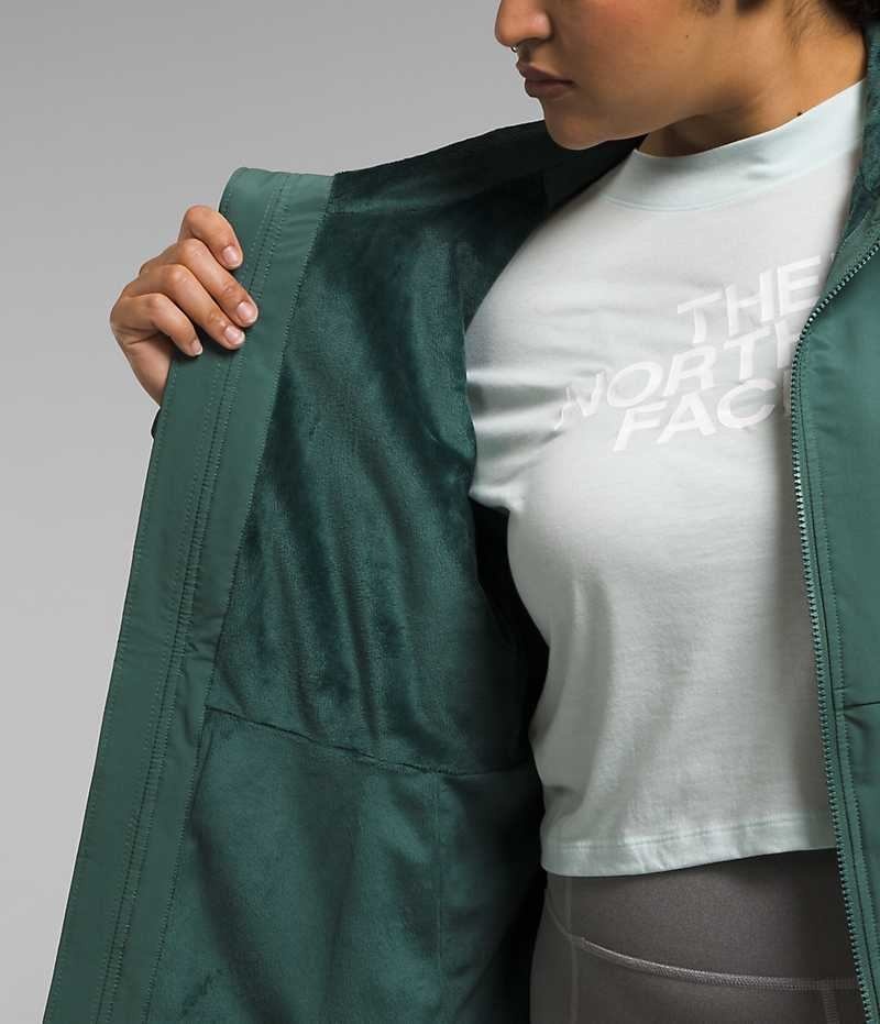 Veste Softshell The North Face Plus Shelbe Raschel Hoodie Femme Vert | FRANCE GKOJN