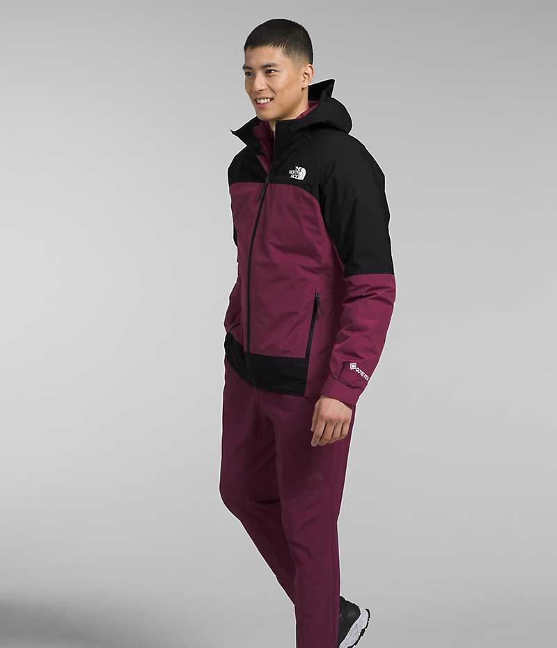 Veste À Capuche The North Face Mountain Light Triclimate® GTX Homme Fushia | FR NULBG