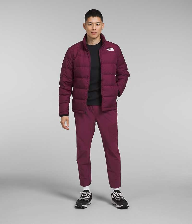 Veste À Capuche The North Face Mountain Light Triclimate® GTX Homme Fushia | FR NULBG
