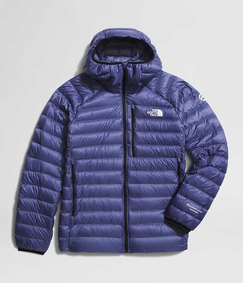 Veste À Capuche The North Face Summit Series Breithorn Homme Bleu | FR TRPYX