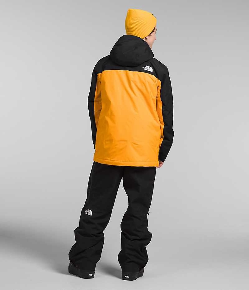 Vestes Isolées The North Face Freedom Homme Doré Noir | PARIS GFWCN