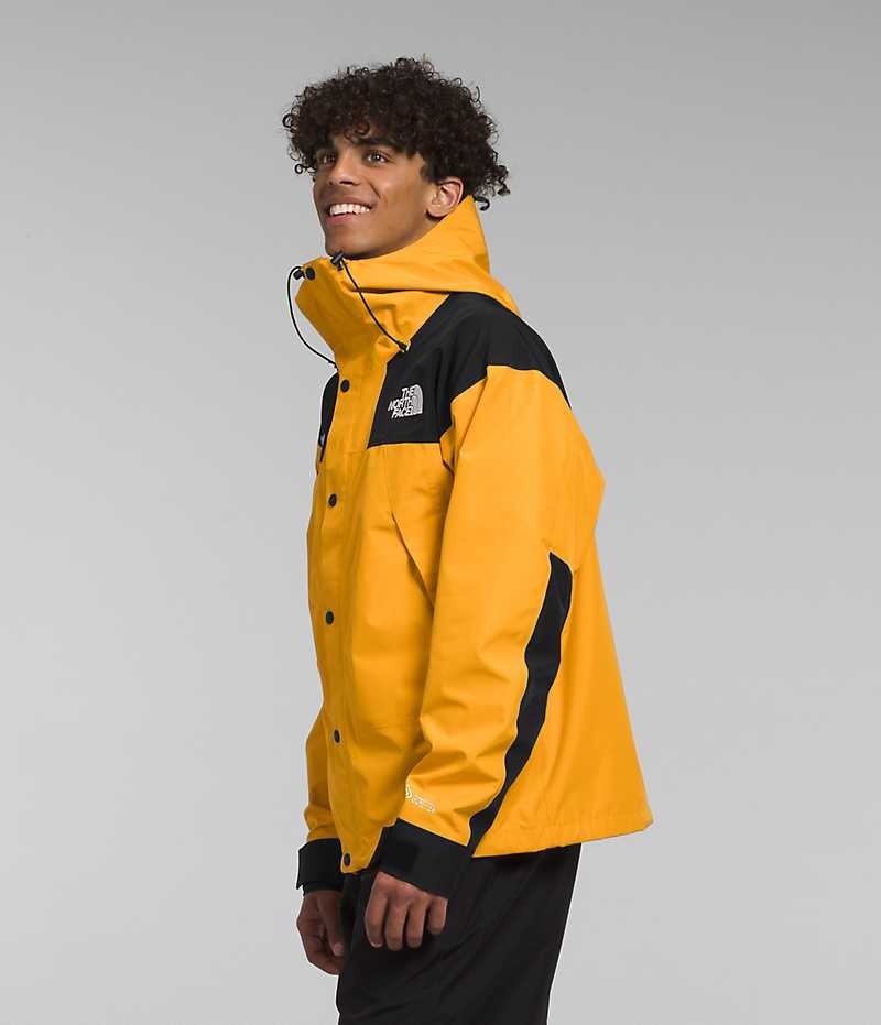 Vestes Isolées The North Face GTX Mountain Homme Doré Noir | PARIS WLFPN