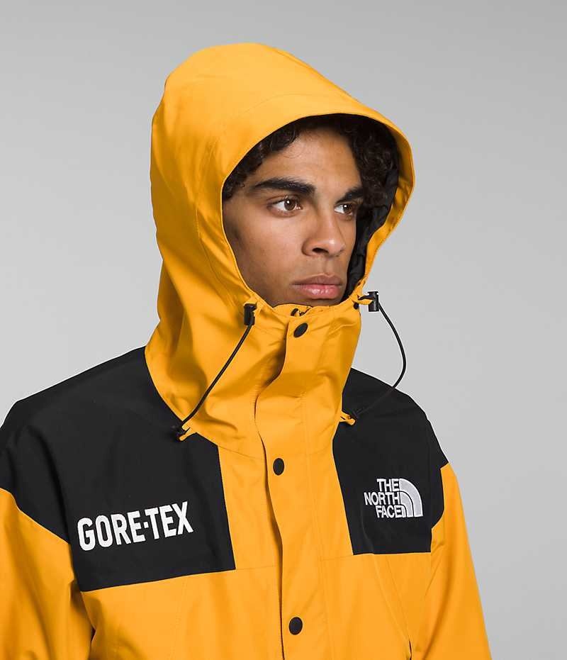 Vestes Isolées The North Face GTX Mountain Homme Doré Noir | PARIS WLFPN