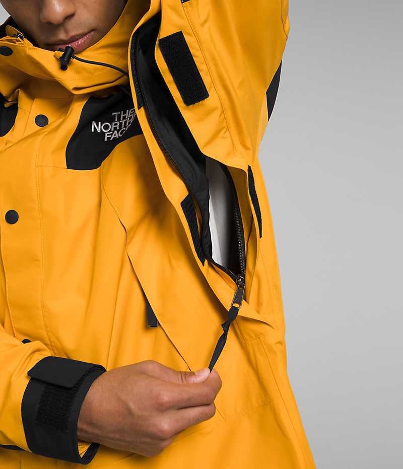 Vestes Isolées The North Face GTX Mountain Homme Doré Noir | PARIS WLFPN