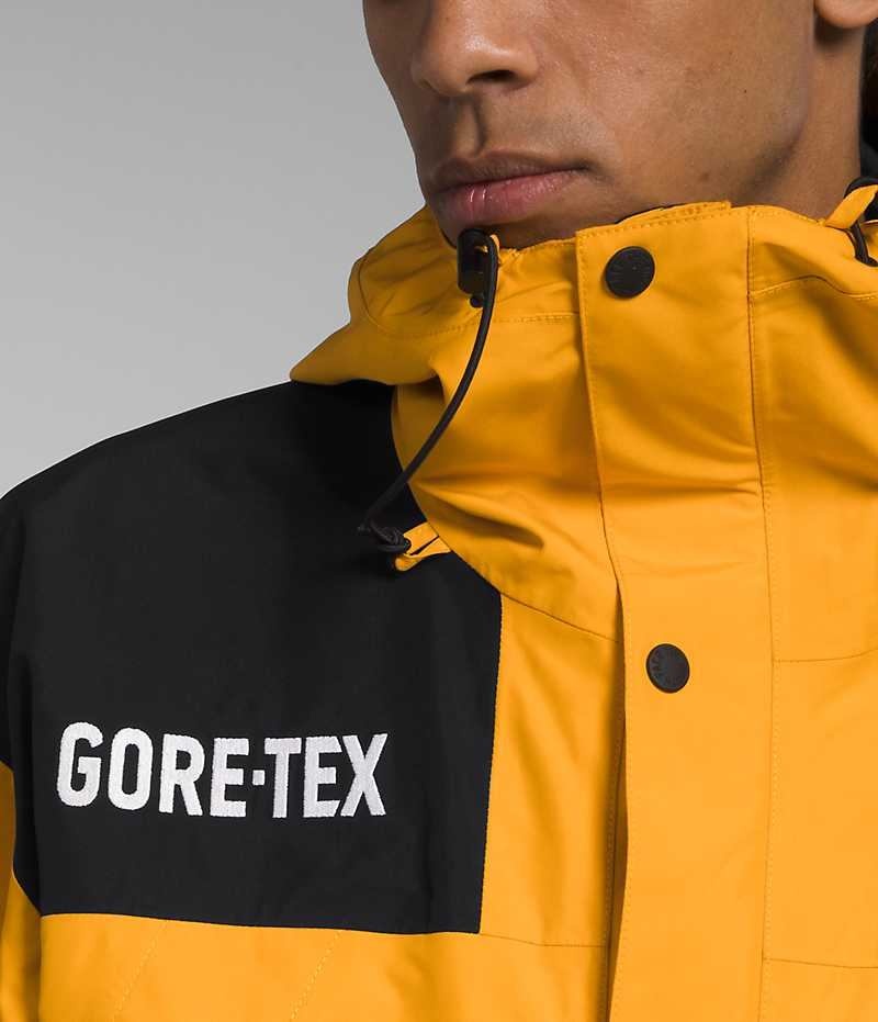 Vestes Isolées The North Face GTX Mountain Homme Doré Noir | PARIS WLFPN