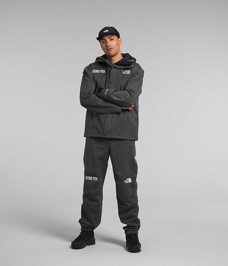 Vestes Isolées The North Face GTX Mountain Homme Noir | FR GUBAZ