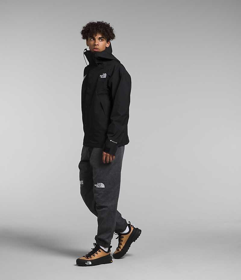 Vestes Isolées The North Face GTX Mountain Homme Noir | FRANCE ZVAET