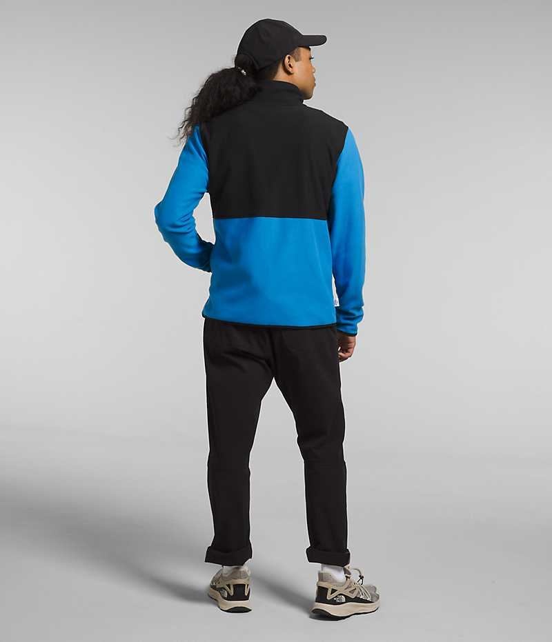Vestes Polaires The North Face Alpine Polartec® 100 Homme Bleu Noir | FRANCE JOEQK