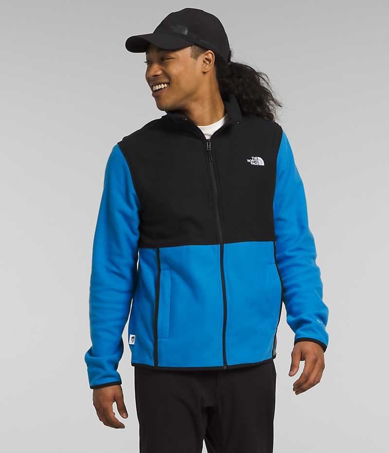 Vestes Polaires The North Face Alpine Polartec® 100 Homme Bleu Noir | FRANCE JOEQK