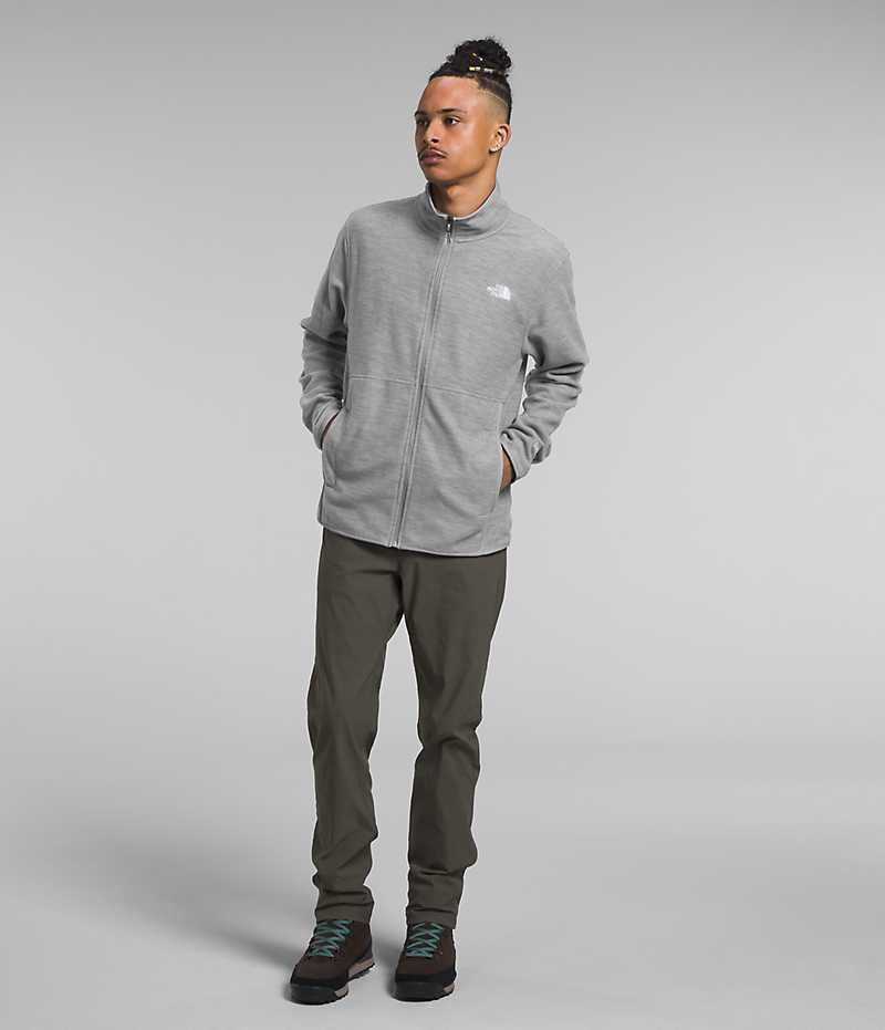 Vestes Polaires The North Face Alpine Polartec® 100 Homme Grise | FR ZKHJF
