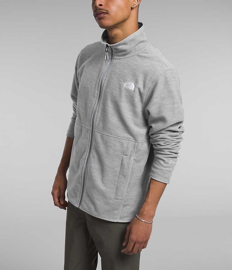 Vestes Polaires The North Face Alpine Polartec® 100 Homme Grise | FR ZKHJF