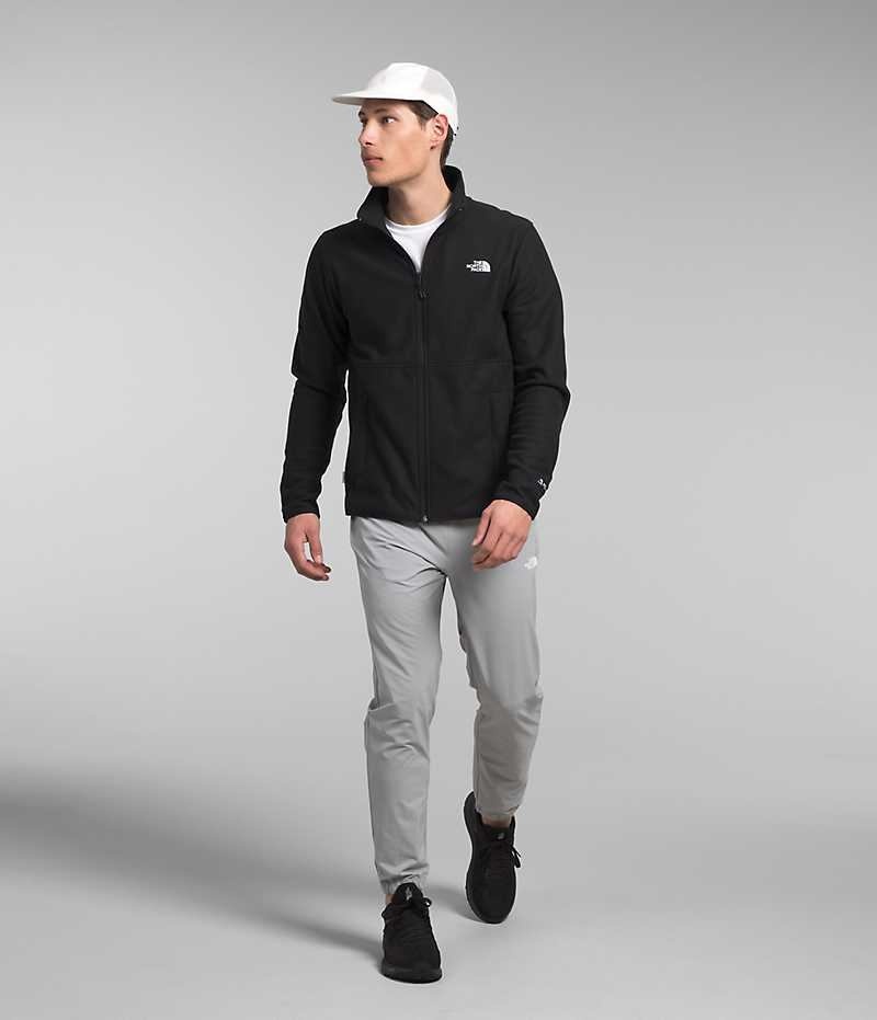 Vestes Polaires The North Face Alpine Polartec® 100 Homme Noir | FRANCE NRHWY