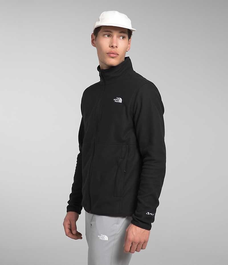 Vestes Polaires The North Face Alpine Polartec® 100 Homme Noir | FRANCE NRHWY