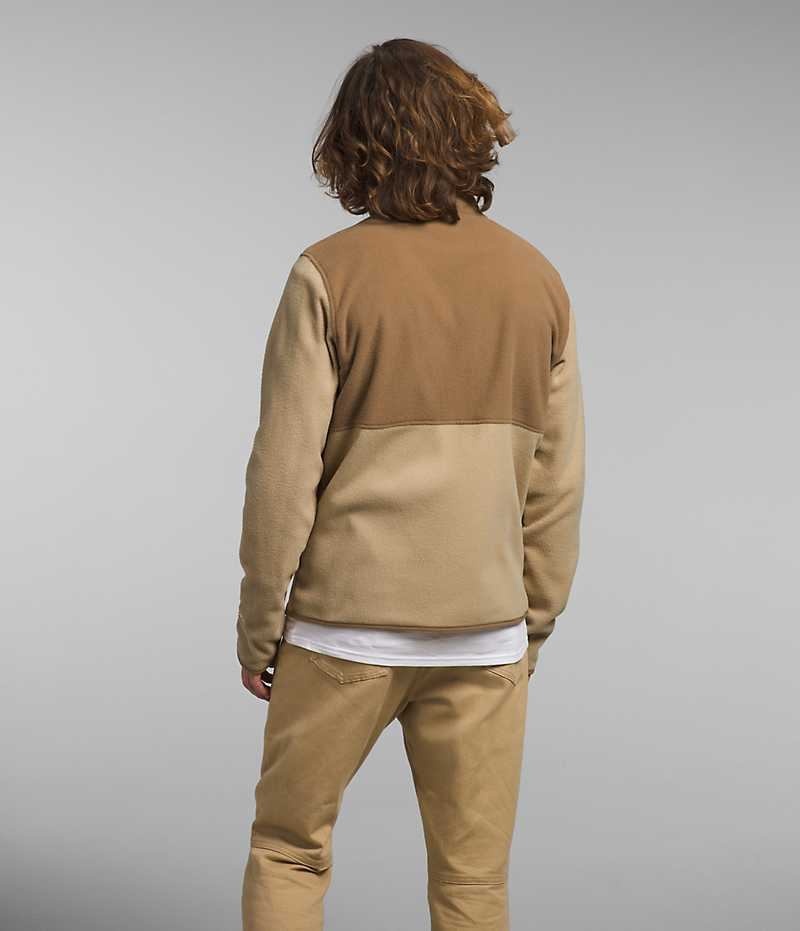 Vestes Polaires The North Face Alpine Polartec® 100 Homme Kaki Marron | PARIS LFAID