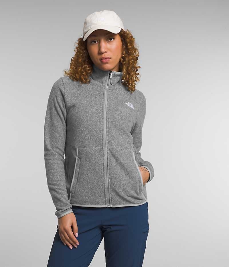 Vestes Polaires The North Face Alpine Polartec® 100 Femme Grise | FRANCE YPVNB