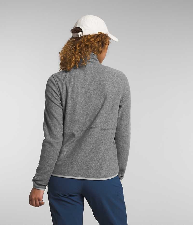 Vestes Polaires The North Face Alpine Polartec® 100 Femme Grise | FRANCE YPVNB