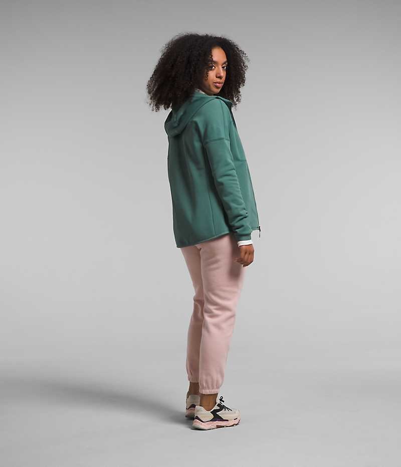 Vestes Polaires The North Face Canyonlands High Altitude Hoodie Femme Vert | FRANCE ORJQS