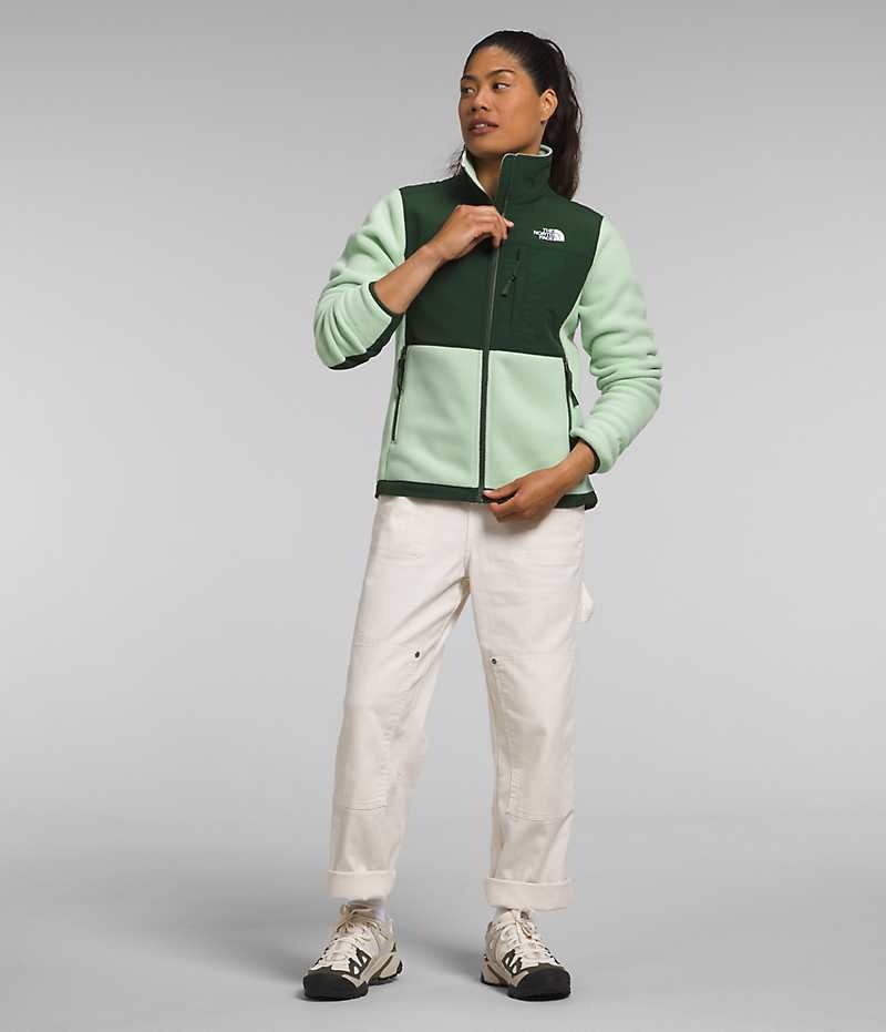 Vestes Polaires The North Face Denali Femme Vert | PARIS ATHZK