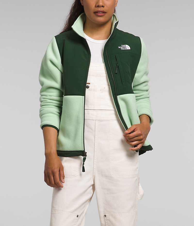 Vestes Polaires The North Face Denali Femme Vert | PARIS ATHZK