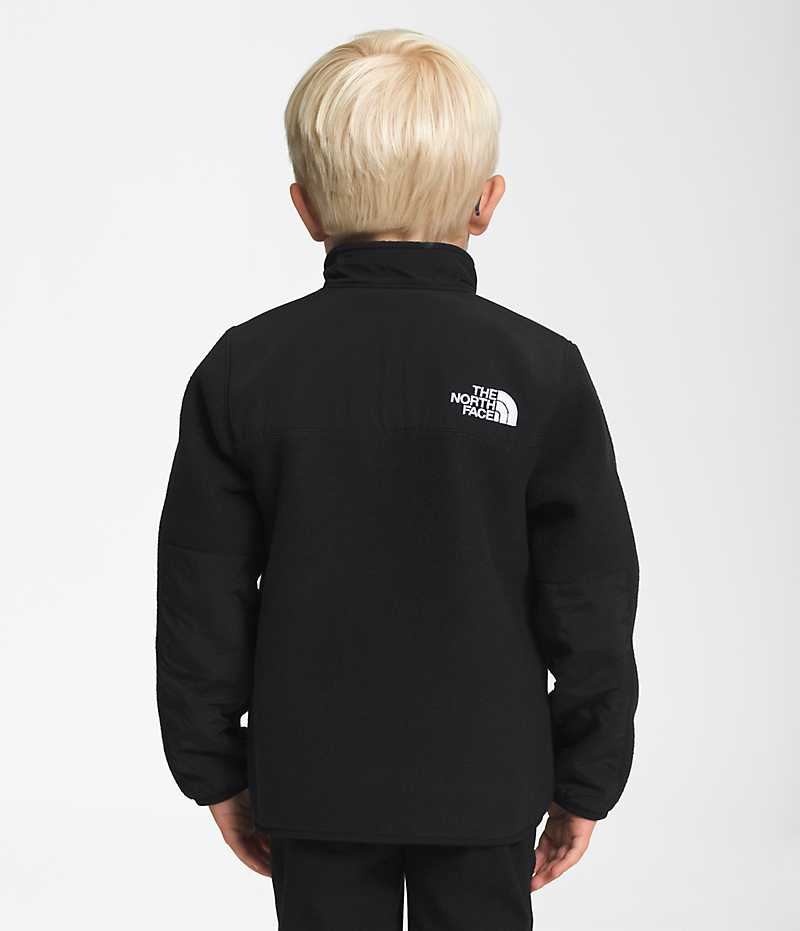 Vestes Polaires The North Face Denali Garcon Noir | FR DKORM