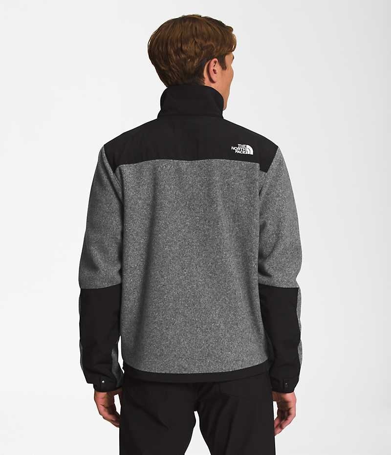 Vestes Polaires The North Face Denali Homme Grise | PARIS XFNYV