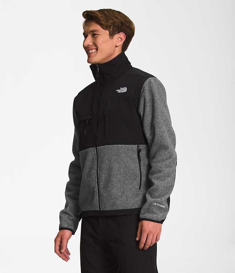 Vestes Polaires The North Face Denali Homme Grise | PARIS XFNYV