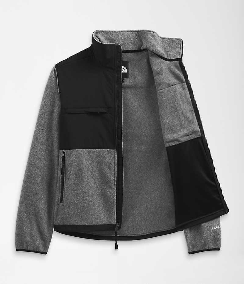 Vestes Polaires The North Face Denali Homme Grise | PARIS XFNYV