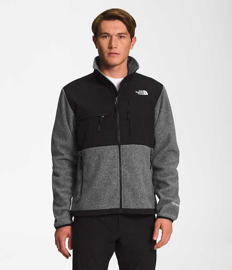 Vestes Polaires The North Face Denali Homme Grise | PARIS XFNYV