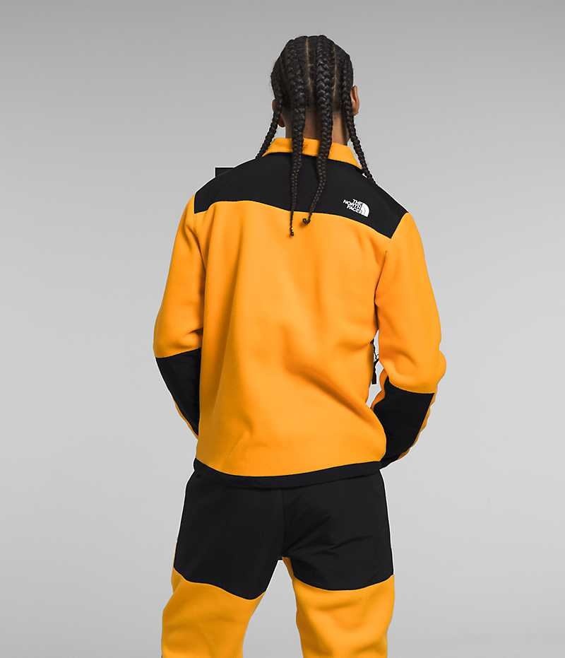 Vestes Polaires The North Face Denali Homme Doré Noir | FR HZGSY