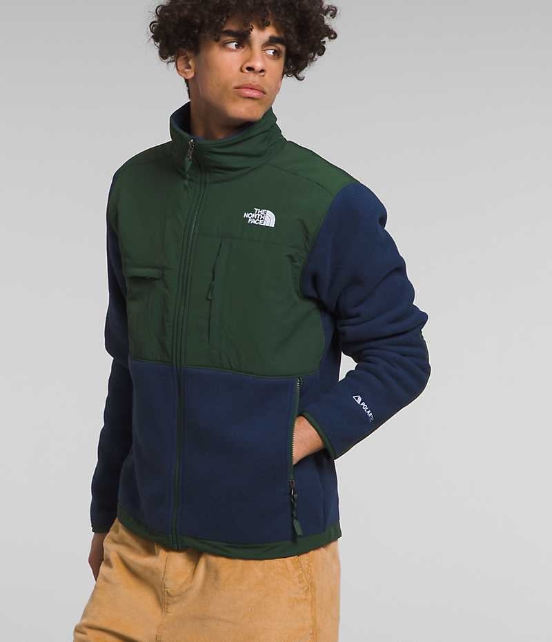 Vestes Polaires The North Face Denali Homme Bleu Marine Vert | FRANCE XRNOW
