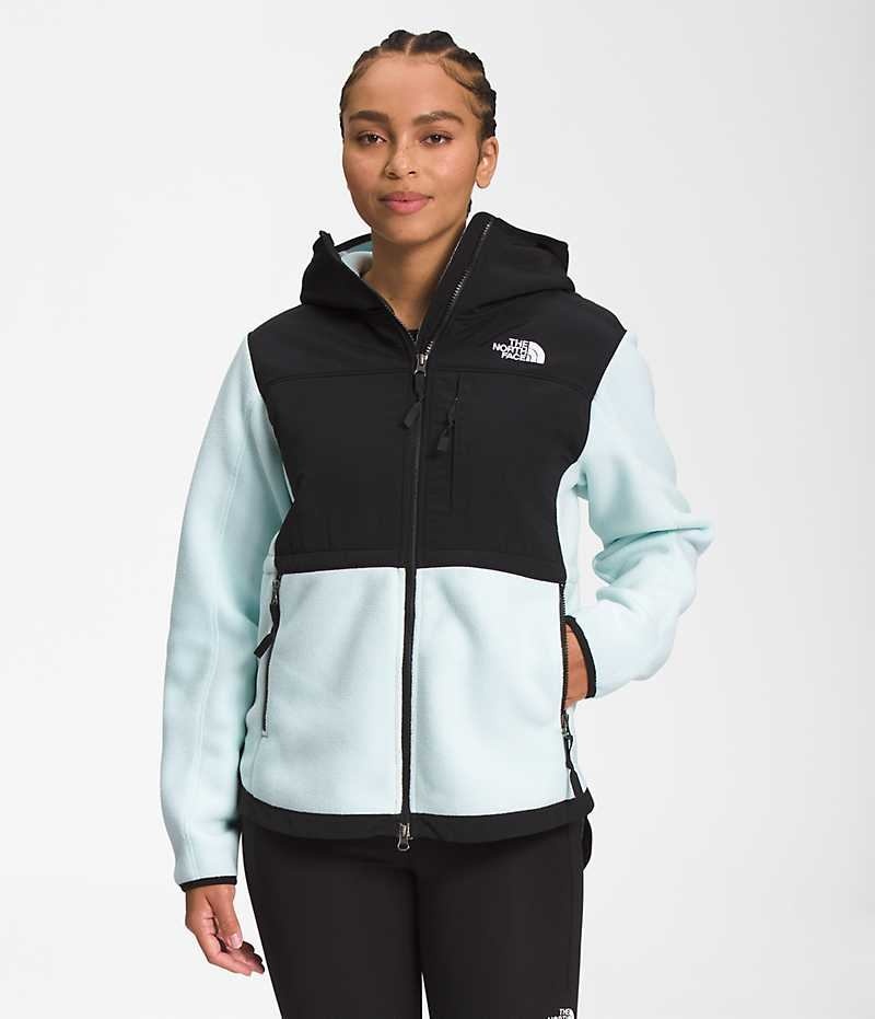 Vestes Polaires The North Face Denali Hoodie Femme Noir Turquoise | PARIS HJLGK