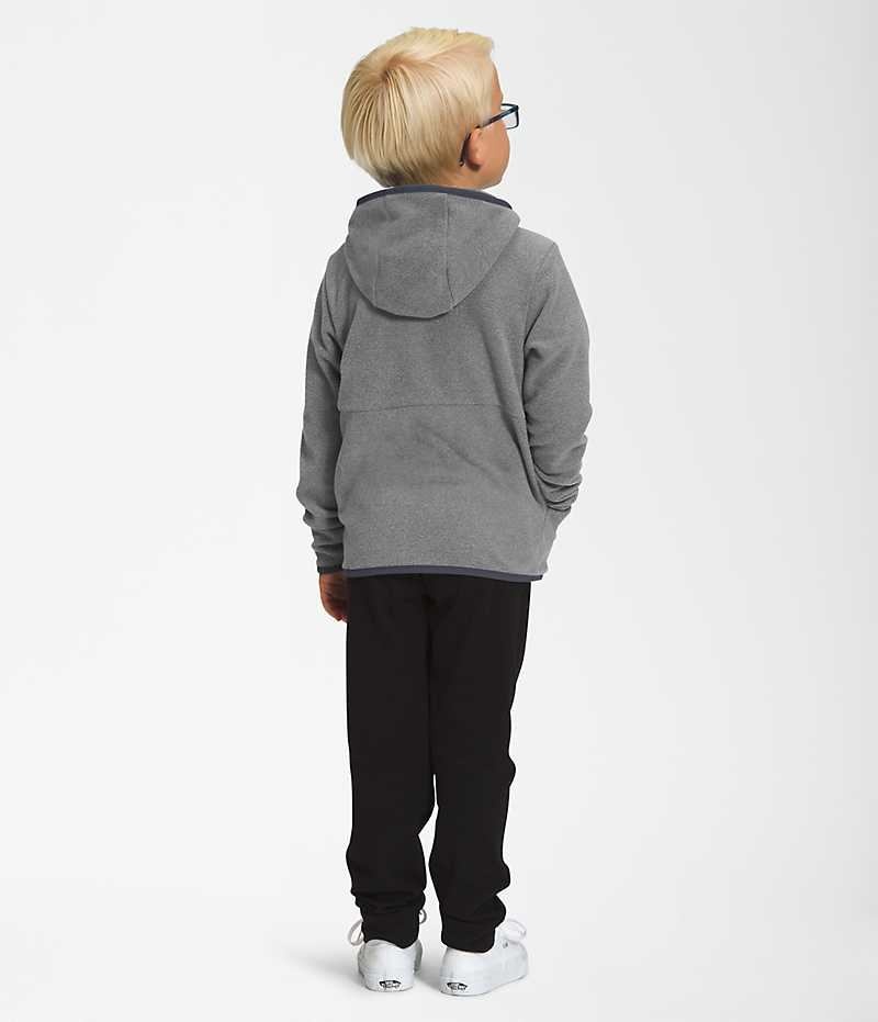 Vestes Polaires The North Face Glacier Full-Zip Hoodie Garcon Grise | PARIS PVJHE