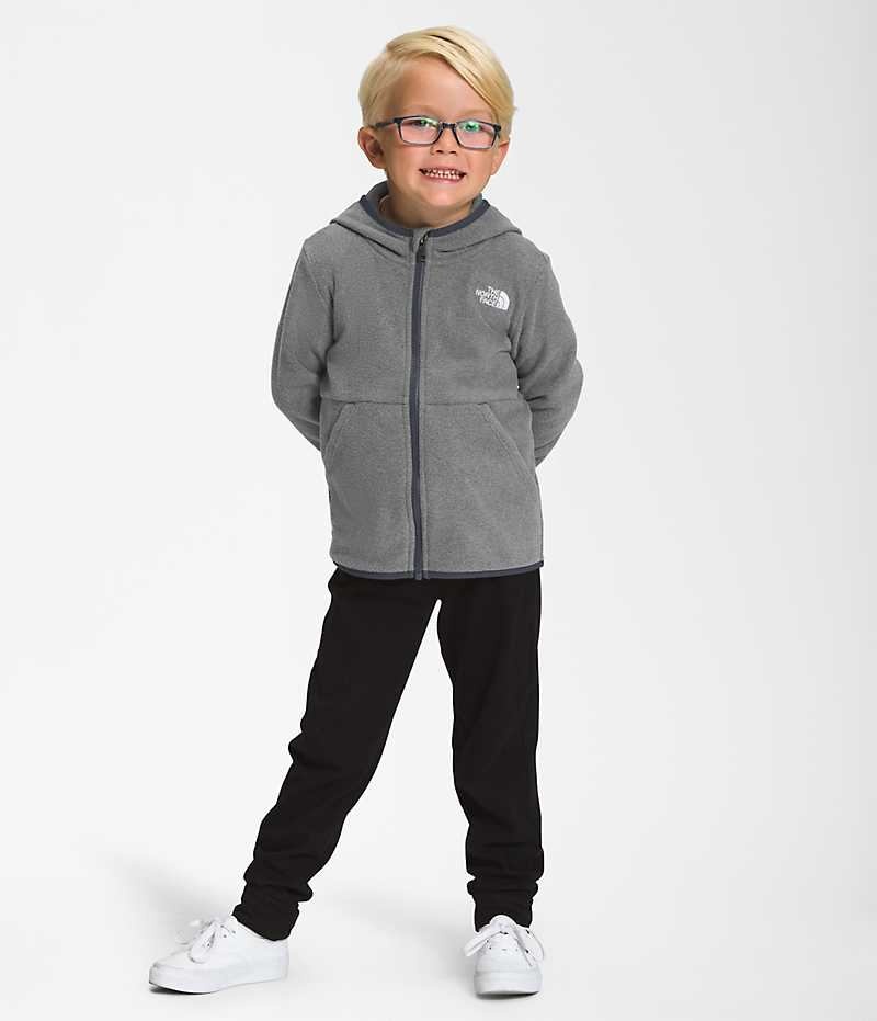 Vestes Polaires The North Face Glacier Full-Zip Hoodie Garcon Grise | PARIS PVJHE
