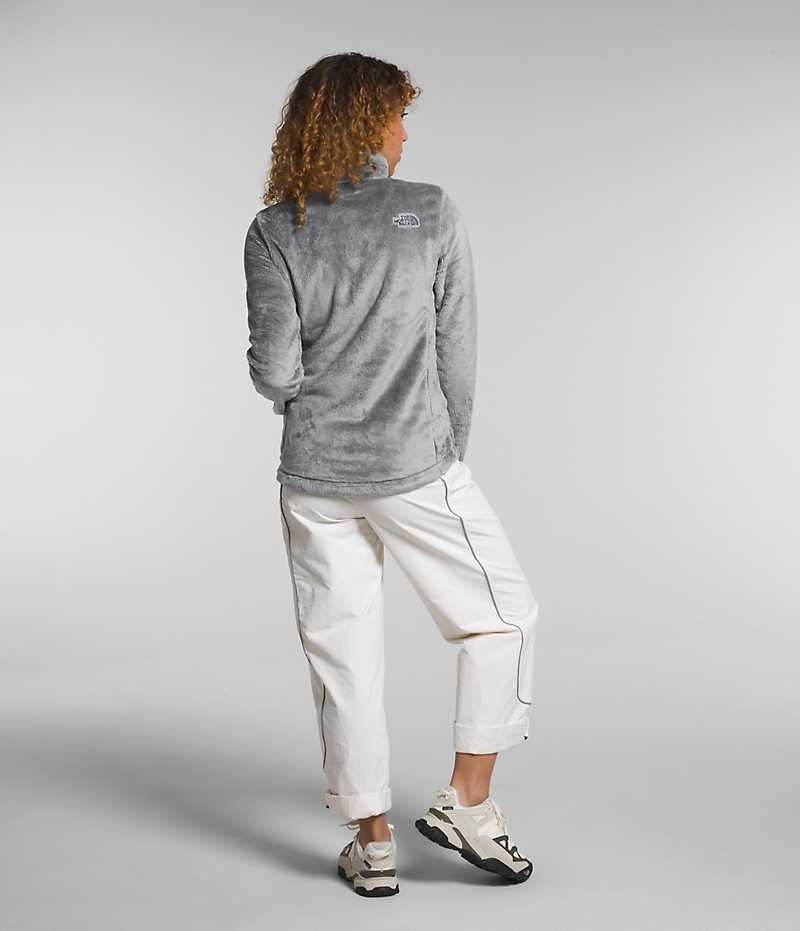 Vestes Polaires The North Face Osito Femme Grise | PARIS HGQKZ