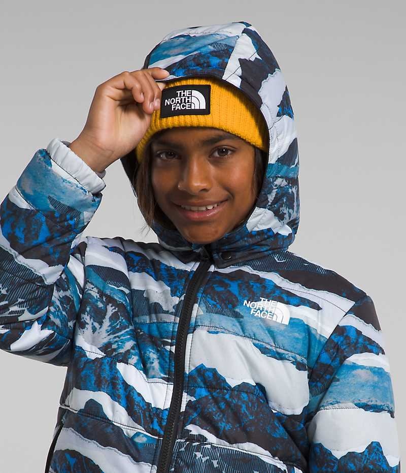 Vestes Polaires The North Face Reversible Mt Chimbo Full-Zip Encapuchonné Garcon Bleu | PARIS SXZEB