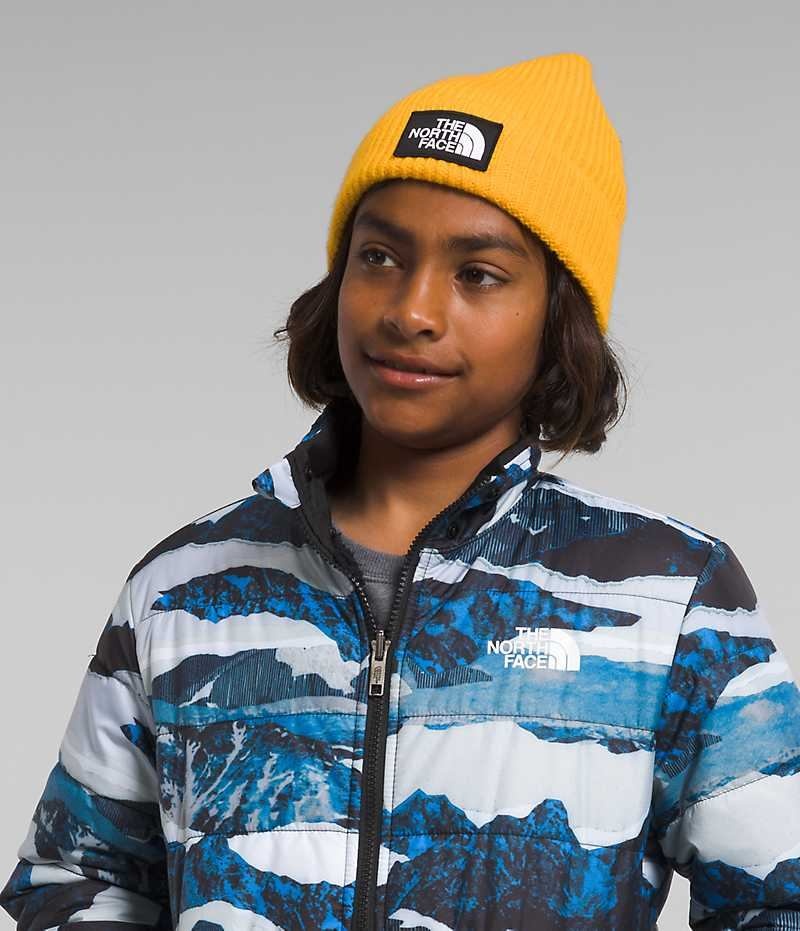 Vestes Polaires The North Face Reversible Mt Chimbo Full-Zip Encapuchonné Garcon Bleu | PARIS SXZEB