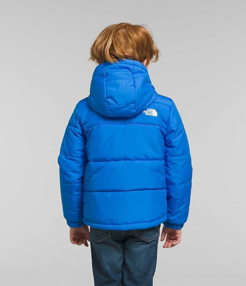 Vestes Polaires The North Face Reversible Mt Chimbo Full-Zip Encapuchonné Garcon Bleu | FR FGMXW